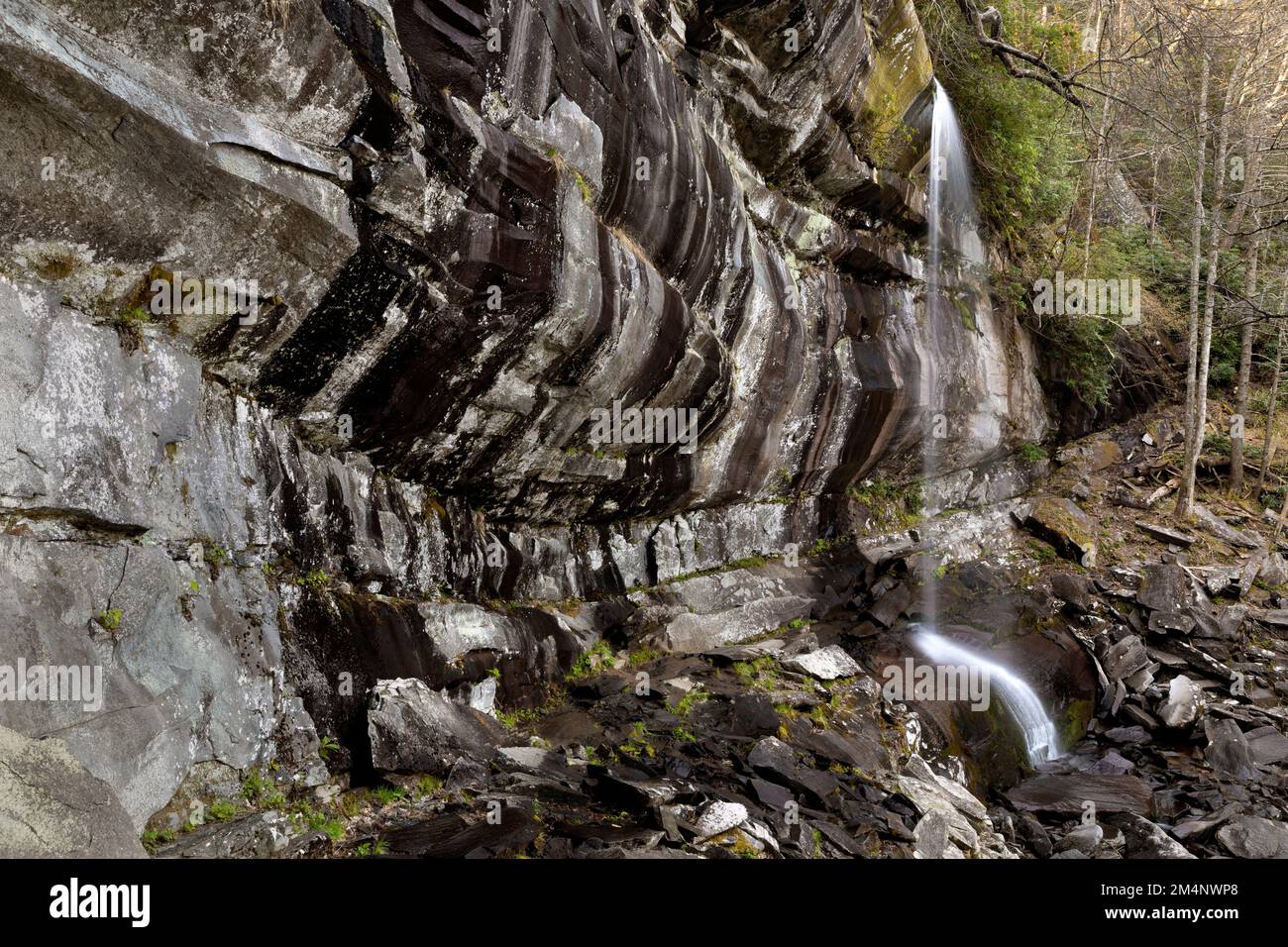 TN00137-00....Tennessee -Rainbow Falls im La Conte Creek Valley, Great Smoky Mountains National Park. Stockfoto