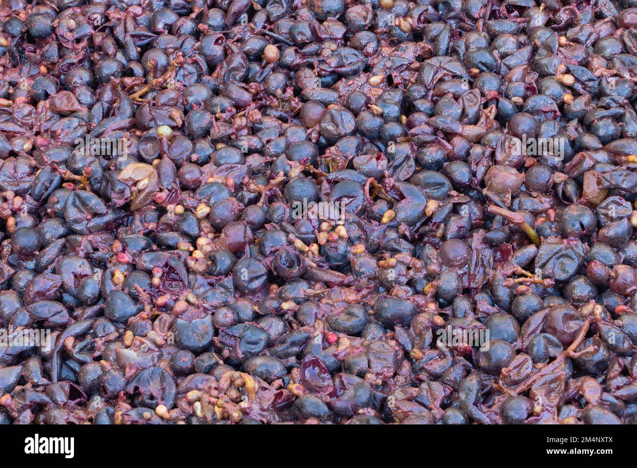 Rotwein im Gärungsprozess - Rotwein zu Hause texturiert Stockfoto