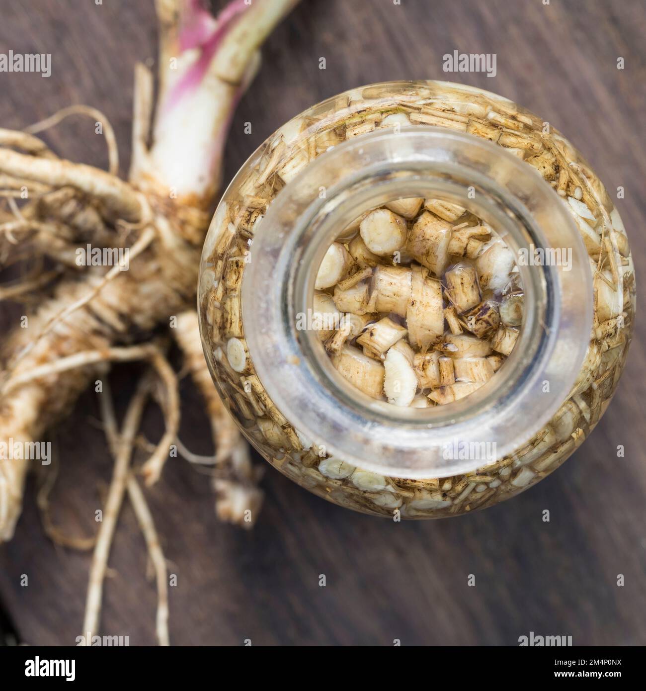Wald-Engelwurz, Wurzel, Wurzeln, Wurzeltinktur, Tinktur, Tinkturen, alkoholischer Auszug, Engelwurz-Wurzel, Engelwurzwurzel, Engelwurz-Wurzeln, Engelw Stockfoto