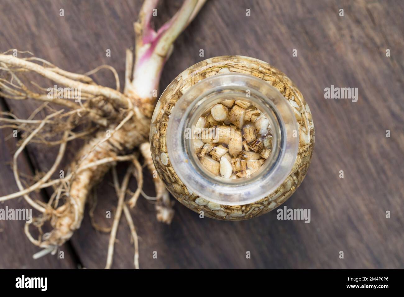 Wald-Engelwurz, Wurzel, Wurzeln, Wurzeltinktur, Tinktur, Tinkturen, alkoholischer Auszug, Engelwurz-Wurzel, Engelwurzwurzel, Engelwurz-Wurzeln, Engelw Stockfoto