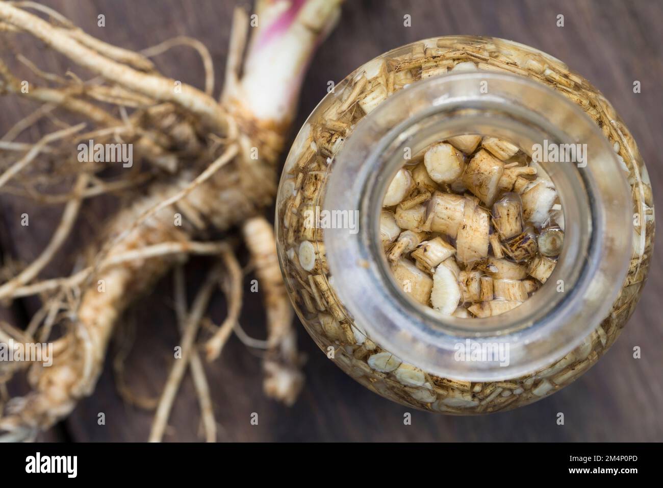 Wald-Engelwurz, Wurzel, Wurzeln, Wurzeltinktur, Tinktur, Tinkturen, alkoholischer Auszug, Engelwurz-Wurzel, Engelwurzwurzel, Engelwurz-Wurzeln, Engelw Stockfoto