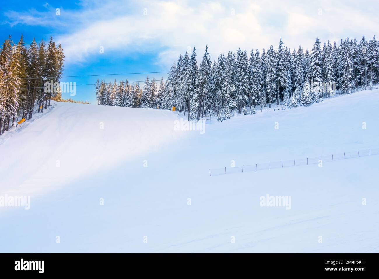 Bansko, Bulgarien Skigebiet Luftpanorama mit Pinien, Skipiste Stockfoto