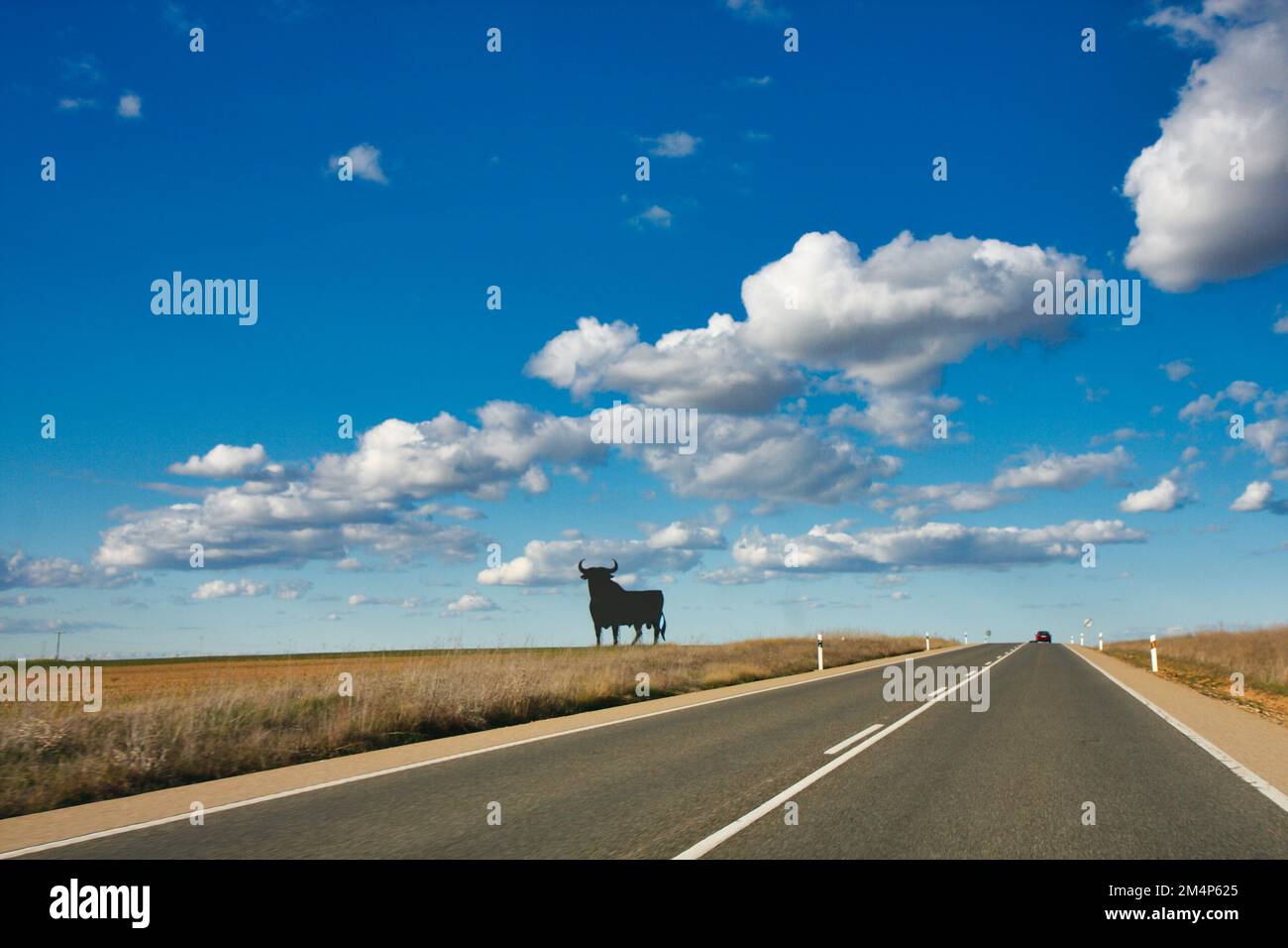 Malerische Landschaft in der Nähe von Benavente mit Bullen aus Osborne, auch bekannt als Toro de Osborne, Provinz Zamora, Castile Leon, Spanien Stockfoto