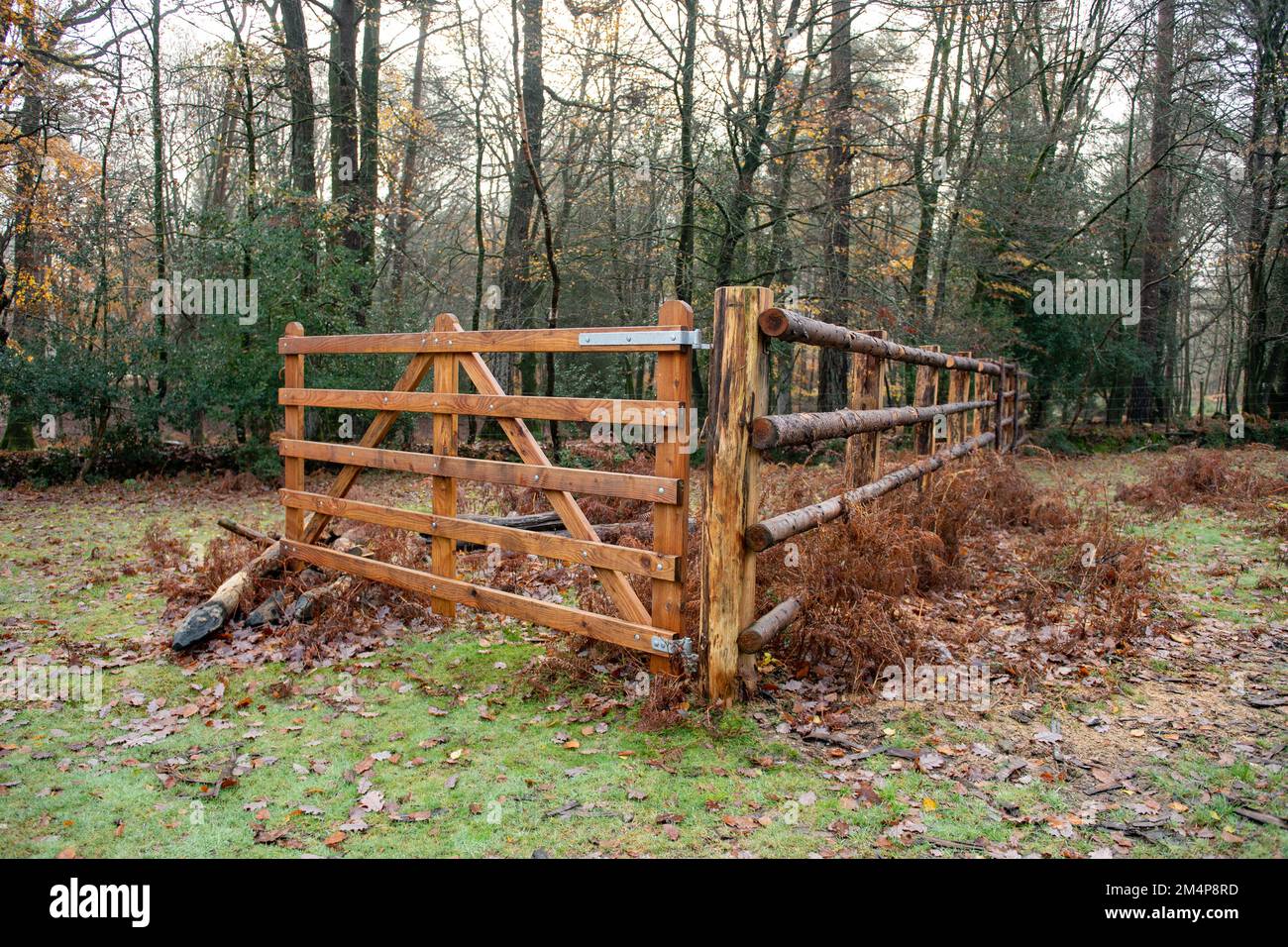 Zäune und Gehege im neuen Wald Hampshire England, um die verschiedenen lebenden Tiere, die in den Waldgehegen leben, zu befördern und zu kontrollieren. Stockfoto