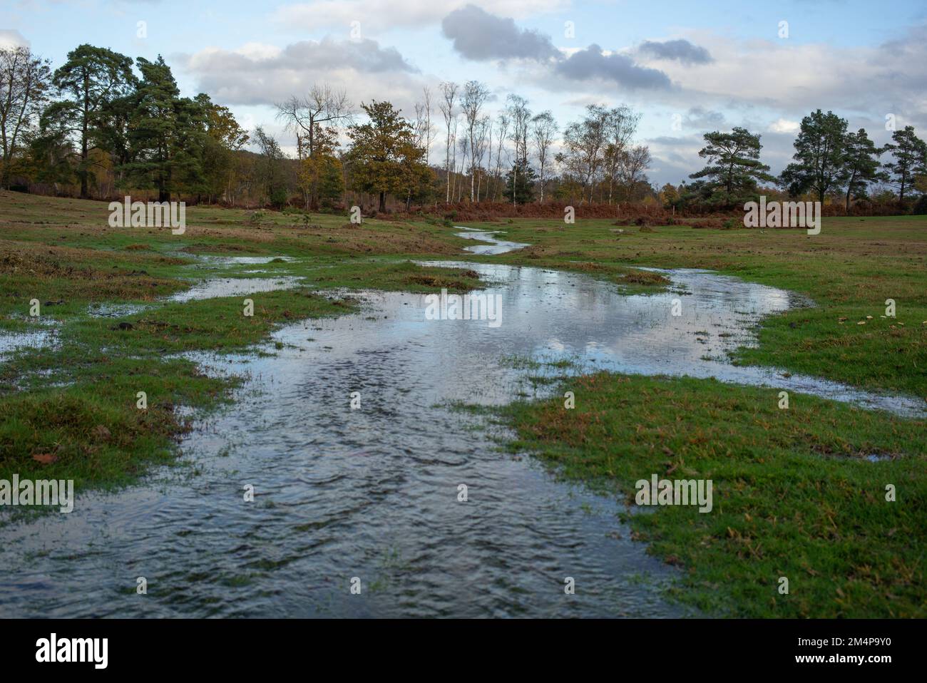 Feuchtgebiete des Neuen Waldes nehmen Gestalt an, wenn der starke Regen die Bäche überflutet. Stockfoto