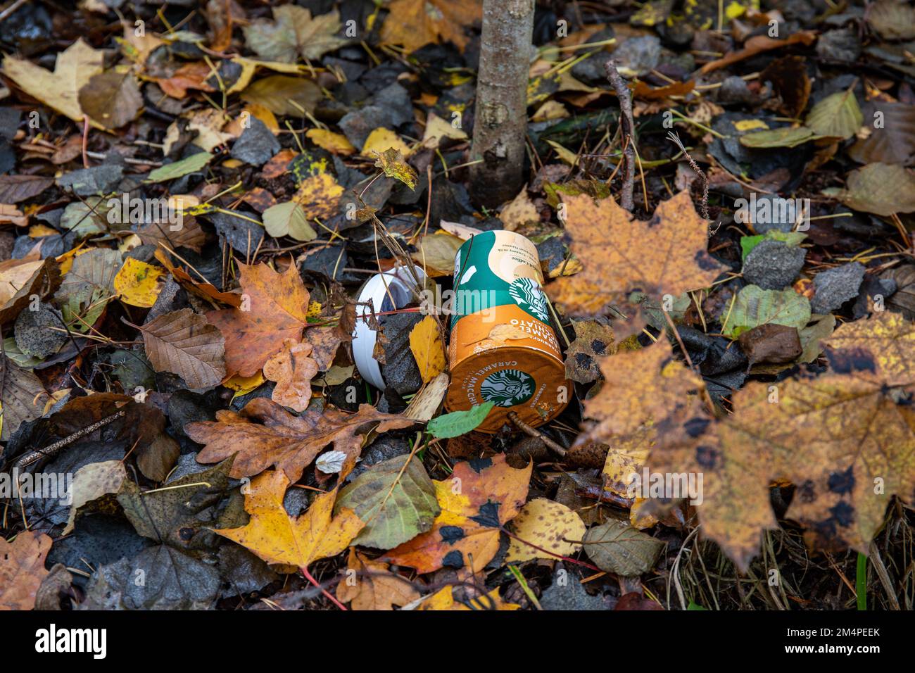 Starbucks Getränk in Einwegbecher auf dem Boden mit heruntergefallenen Blättern Stockfoto