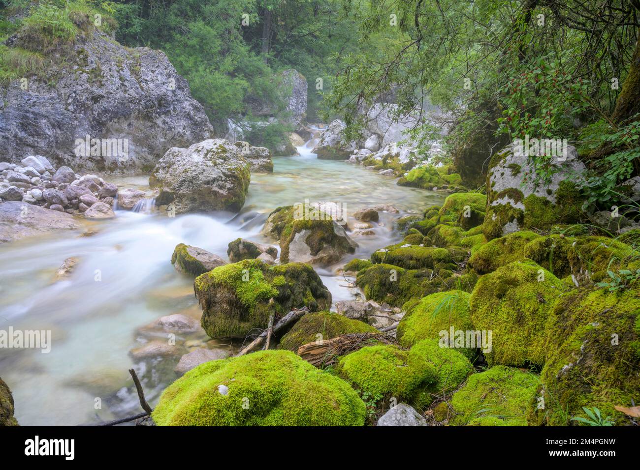 Soca und Mossy Stones, Gemeinde Bovec, Slowenien Stockfoto