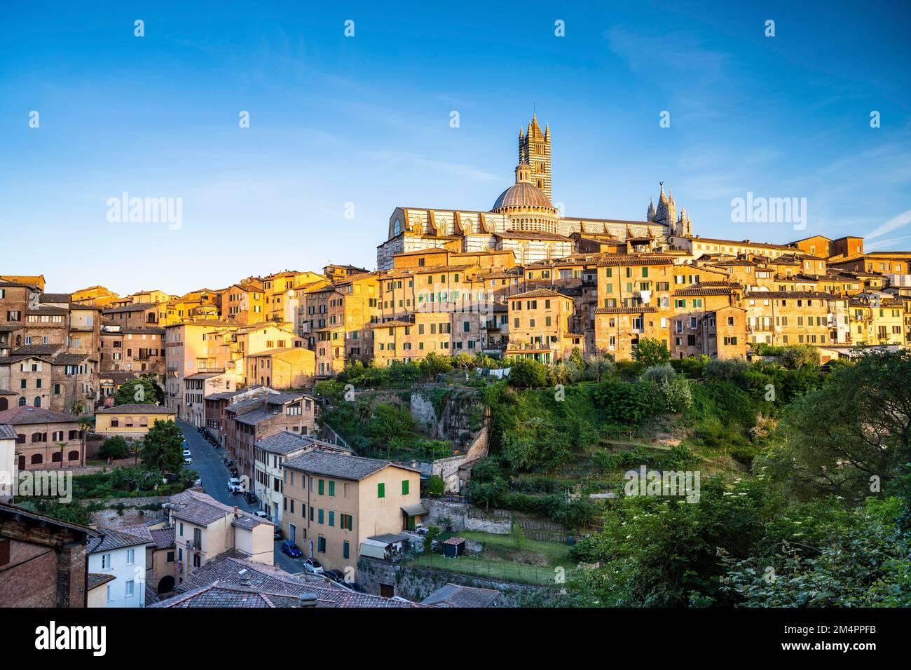 Blick auf die Stadt, Altstadt mit Duomo Santa Maria Assunta, Siena, Toskana, Italien Stockfoto