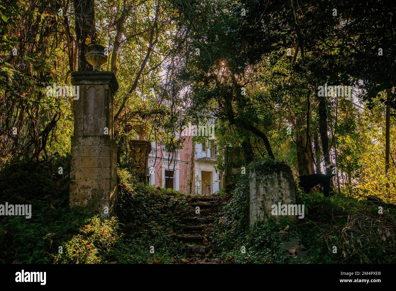 Alte überwucherte Treppen im verlassenen Park. Stockfoto