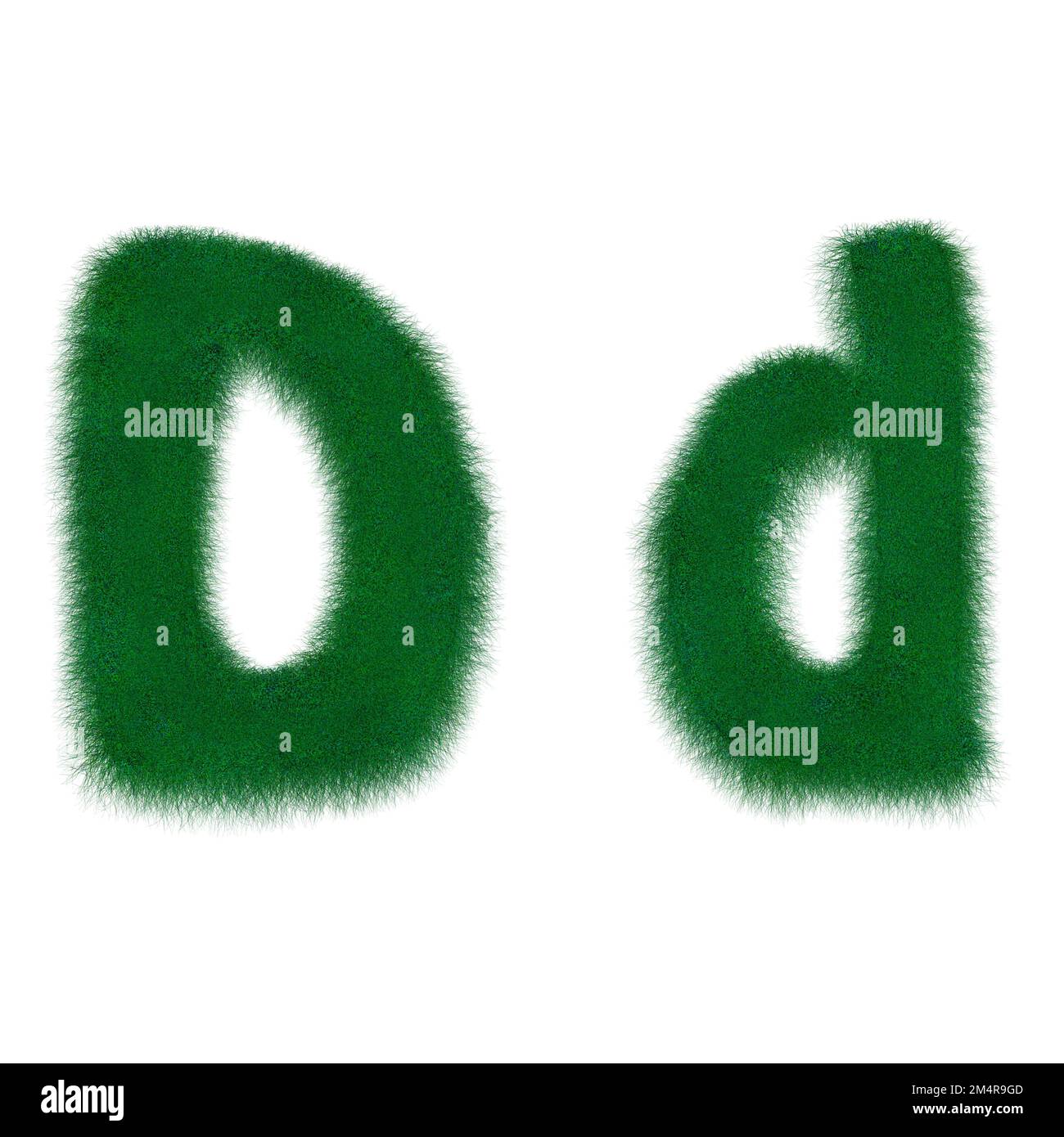 Moos grüner Buchstabe D Stockfoto