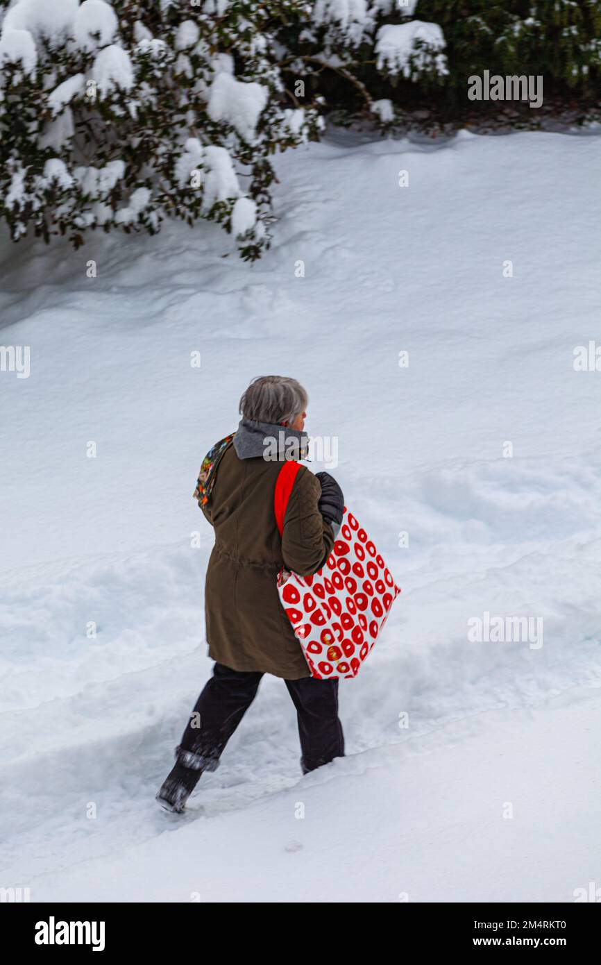 Ältere Frau, die mit einer roten Tasche durch den Schnee läuft, in Steveston, British Columbia, Kanada Stockfoto