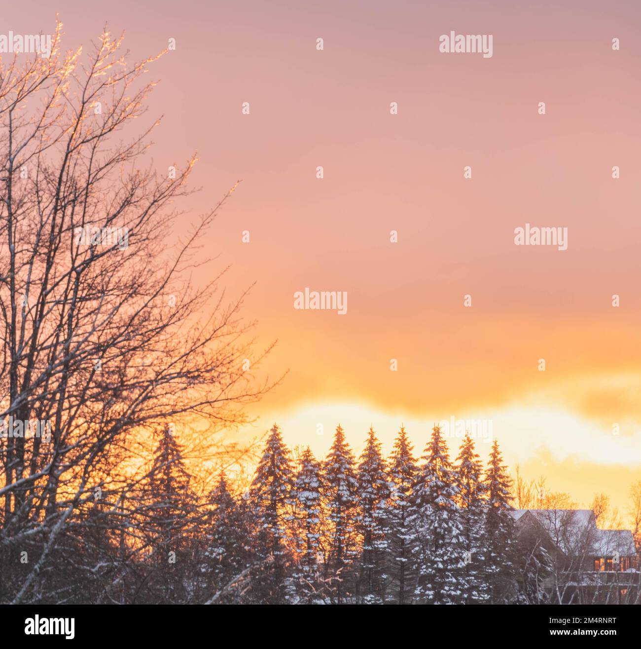 Winterlandschaft Hintergrund natürliche Tapete kopieren Raum Grafikressourcen Stockfoto