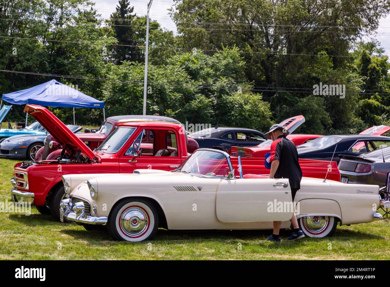 Ein weißer 1955 Ford Thunderbird parkte neben einem roten 1967 Chevrolet Pickup-Truck auf einer Automesse in Fort Wayne, Indiana, USA. Stockfoto