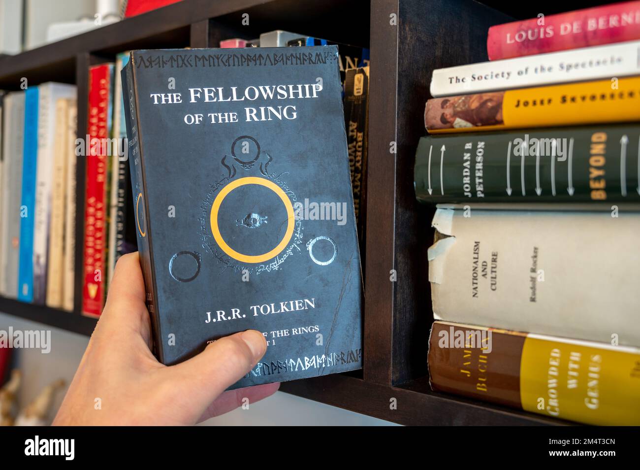 Calgary, Alberta - 22. Dezember 2022: Pulling JRR Tolkien's Fellowship of the Ring of a Bookshelf. Stockfoto