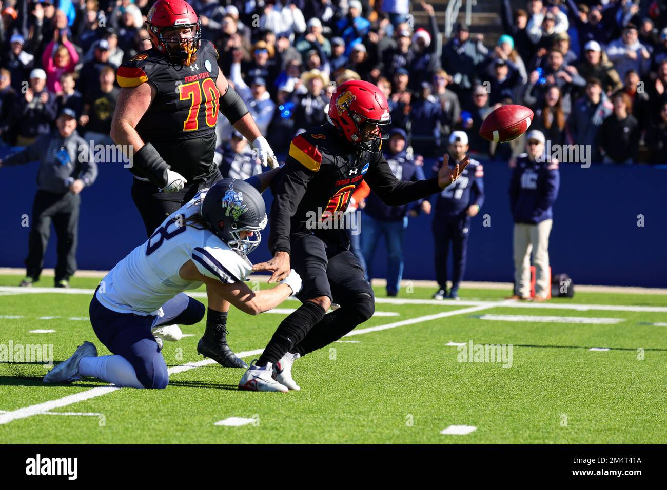 Ferris State Bulldogs Quarterback Mylik Mitchell (0) verliert den Griff und wird während der Tanne von der Colorado School of Mines Orediggers Zach Hester (8) getroffen Stockfoto