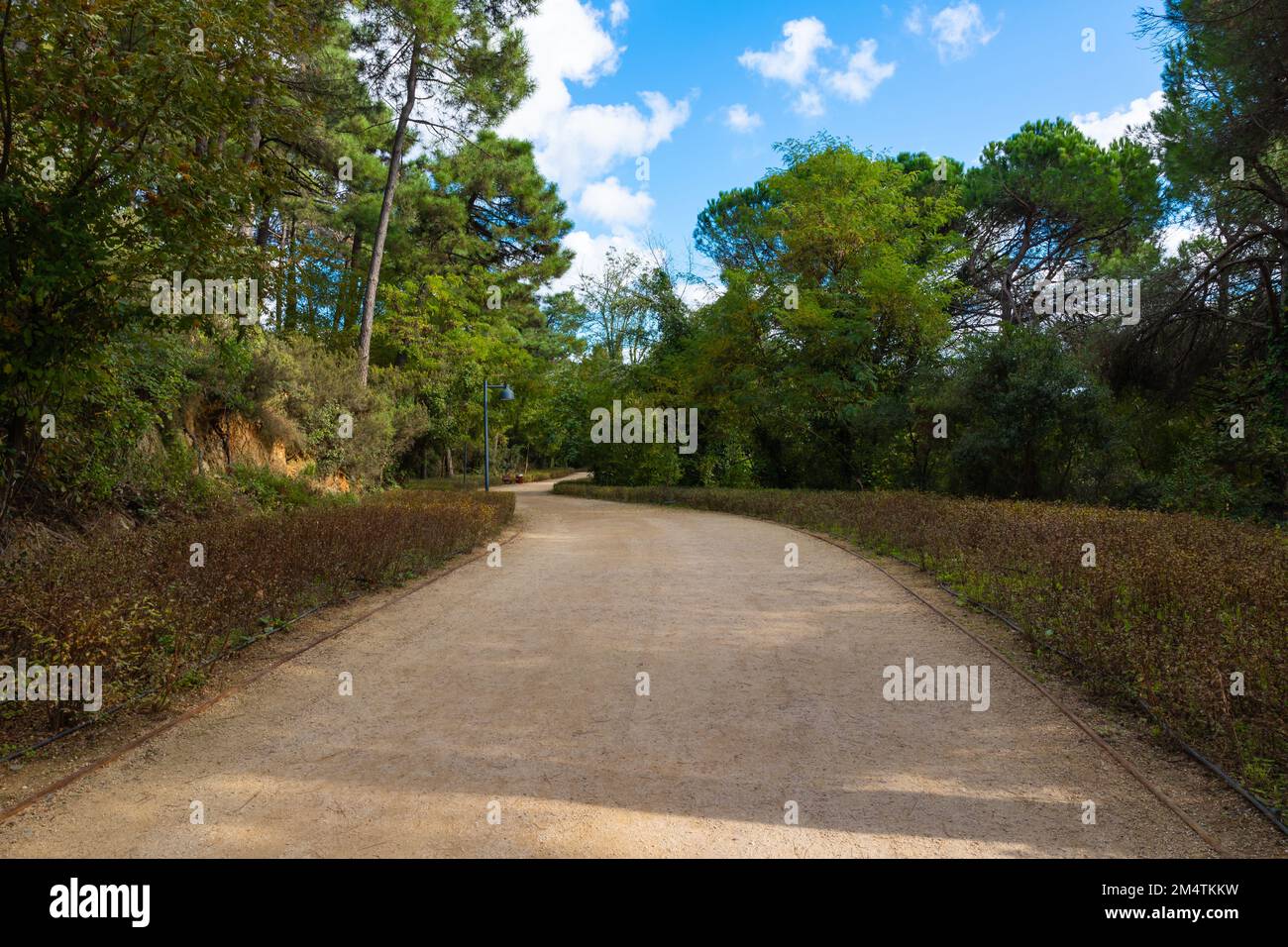 Unbefestigter Pfad im Wald zum Joggen oder Wandern. Haciosman oder Atatürk City Forest in Sariyer Istanbul Stockfoto