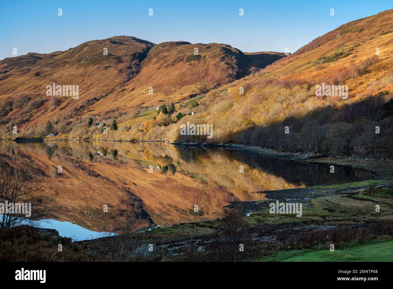 Loch Long in den schottischen Highlands. Stockfoto