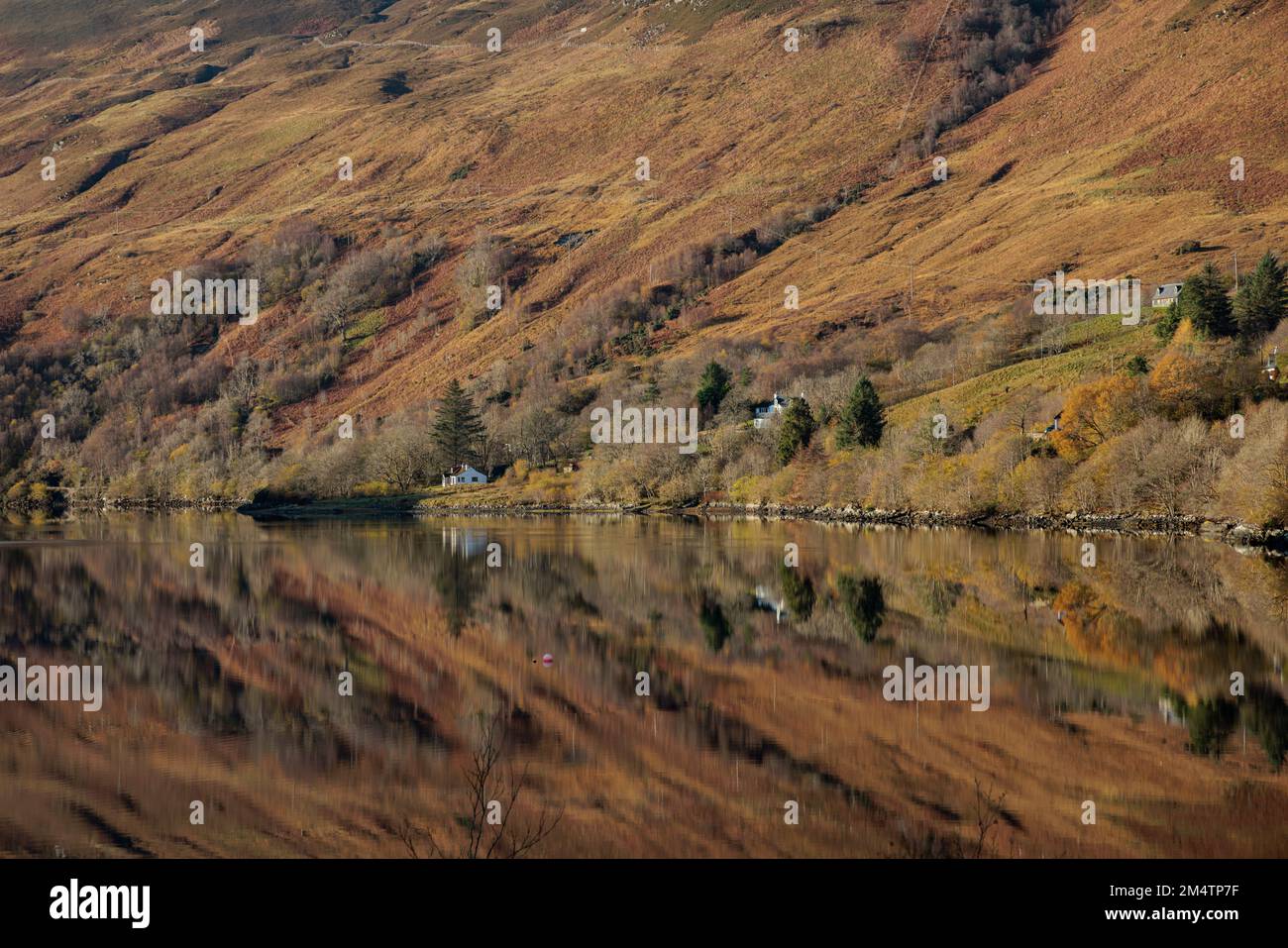 Loch Long in den schottischen Highlands. Stockfoto