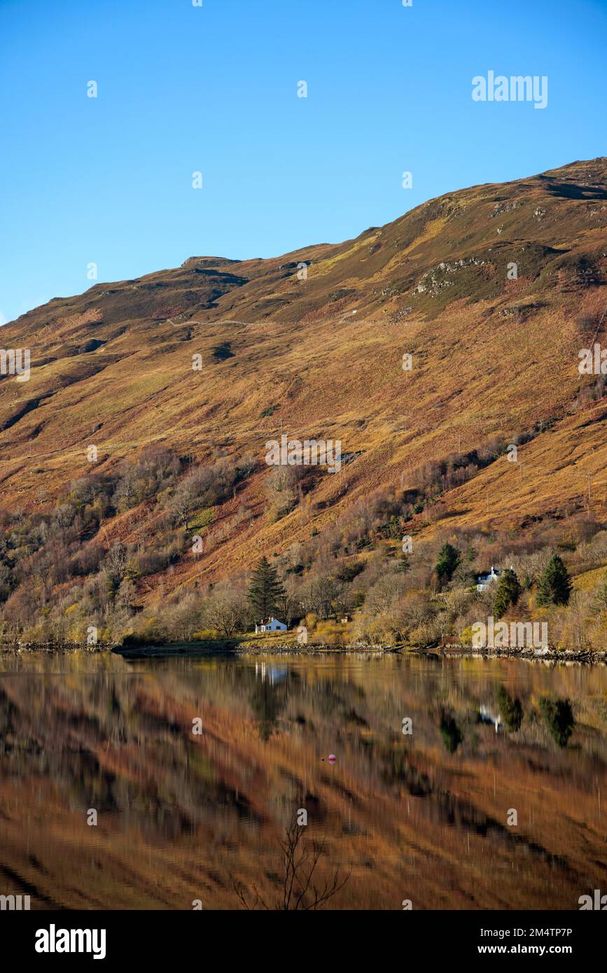 Loch Long in den schottischen Highlands. Stockfoto