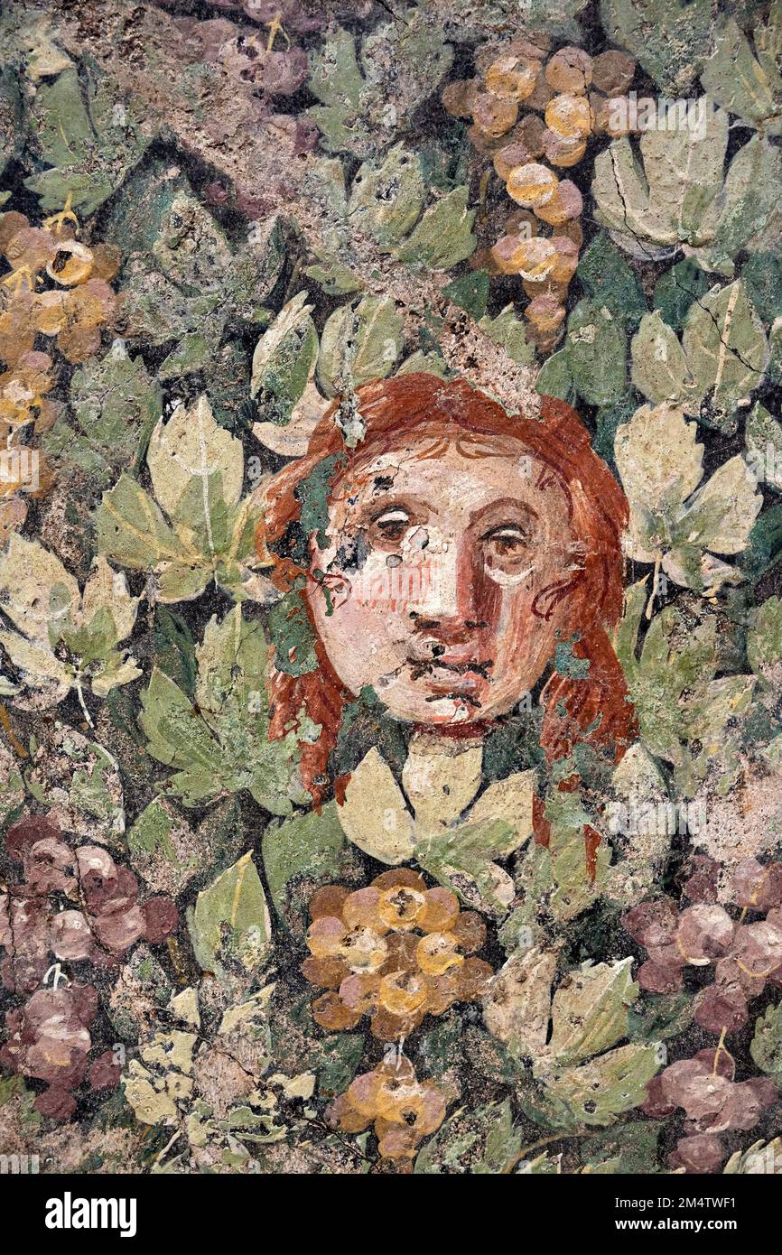 Participolare da “ Maschera tra grappoli d’uva e viti “ - affresco - Pompeji, Casa di V. Popidio o Casa delle Colombe a mosaico, triclinio, parete est - Stockfoto