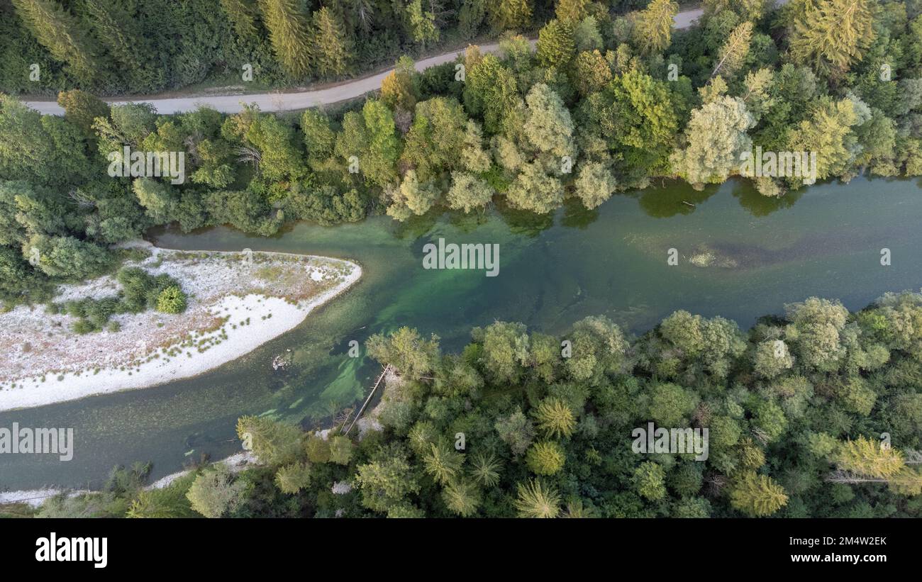 Aufnahme des Flusses Sava Bohinjka in der Nähe von Bled, mit einer Schotterstraße parallel und Wäldern auf beiden Seiten. Kiesdünen in der Mitte des Flusses Stockfoto