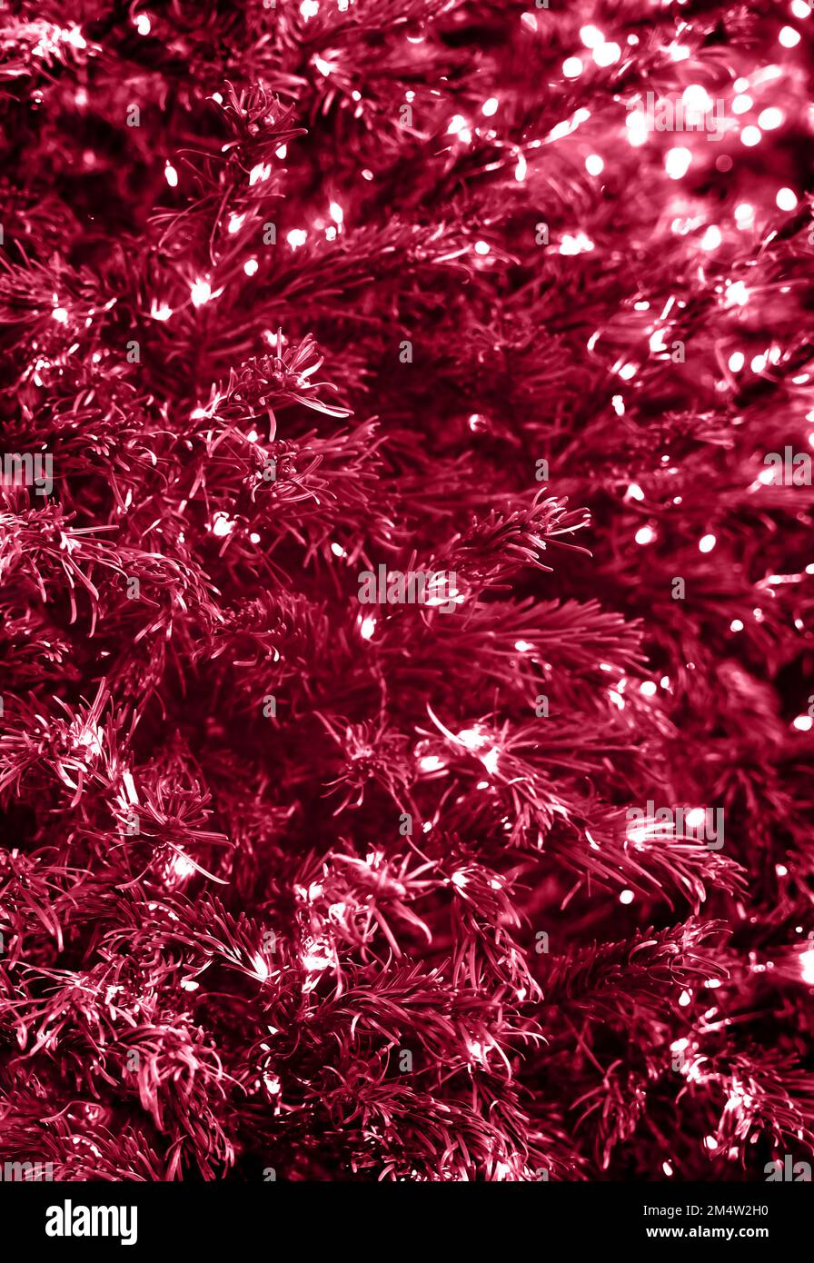 Nahtlose Textur von Tannenzweigen, dekoriert mit wunderschönen Weihnachtslichtern als Hintergrund. In trendigen magentafarbenen Farben des Jahres 2023. Tolle Kulisse für Urlaubsplanung. Speicherplatz kopieren. Stockfoto