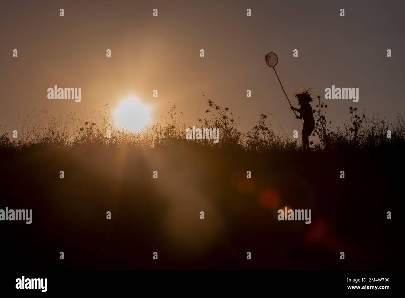 Kind mit Schmetterlingsnetz in einem Feld bei Sonnenuntergang (Modell freigegeben) Stockfoto