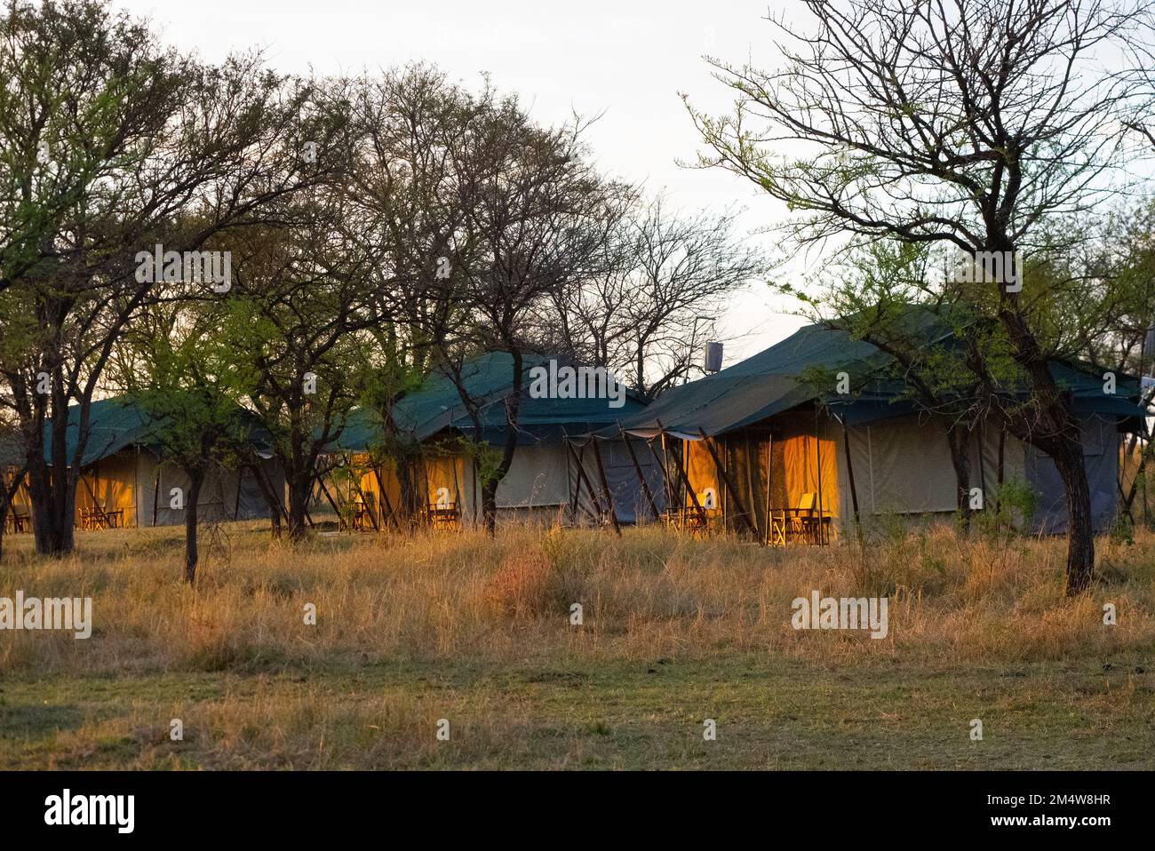 African Wildlife Safari Camp in der Wildnis. Fotografiert in Tansania Stockfoto
