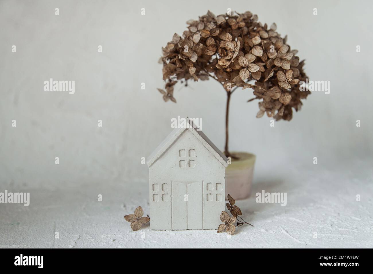 Betondekor. Weißes Gipshaus, getrocknete Hortensien, natürliche Hortensien. Stilvolle und moderne umweltfreundliche Inneneinrichtung Stockfoto