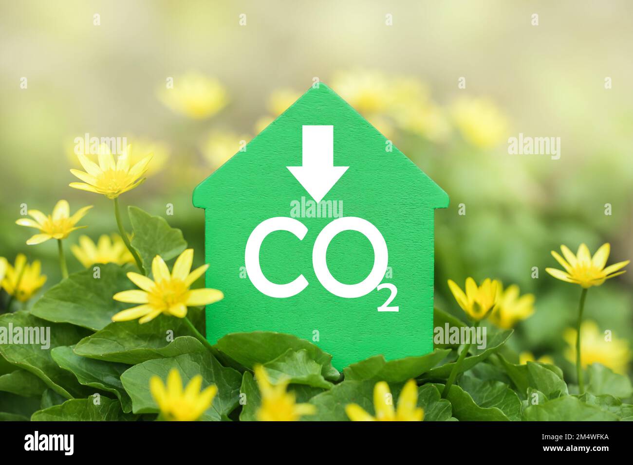 Dekarbonisierung von Immobilien. Geringere CO2-Emissionen und weniger Kohlenstoff. Grünes Haus mit Blumenhintergrund Stockfoto