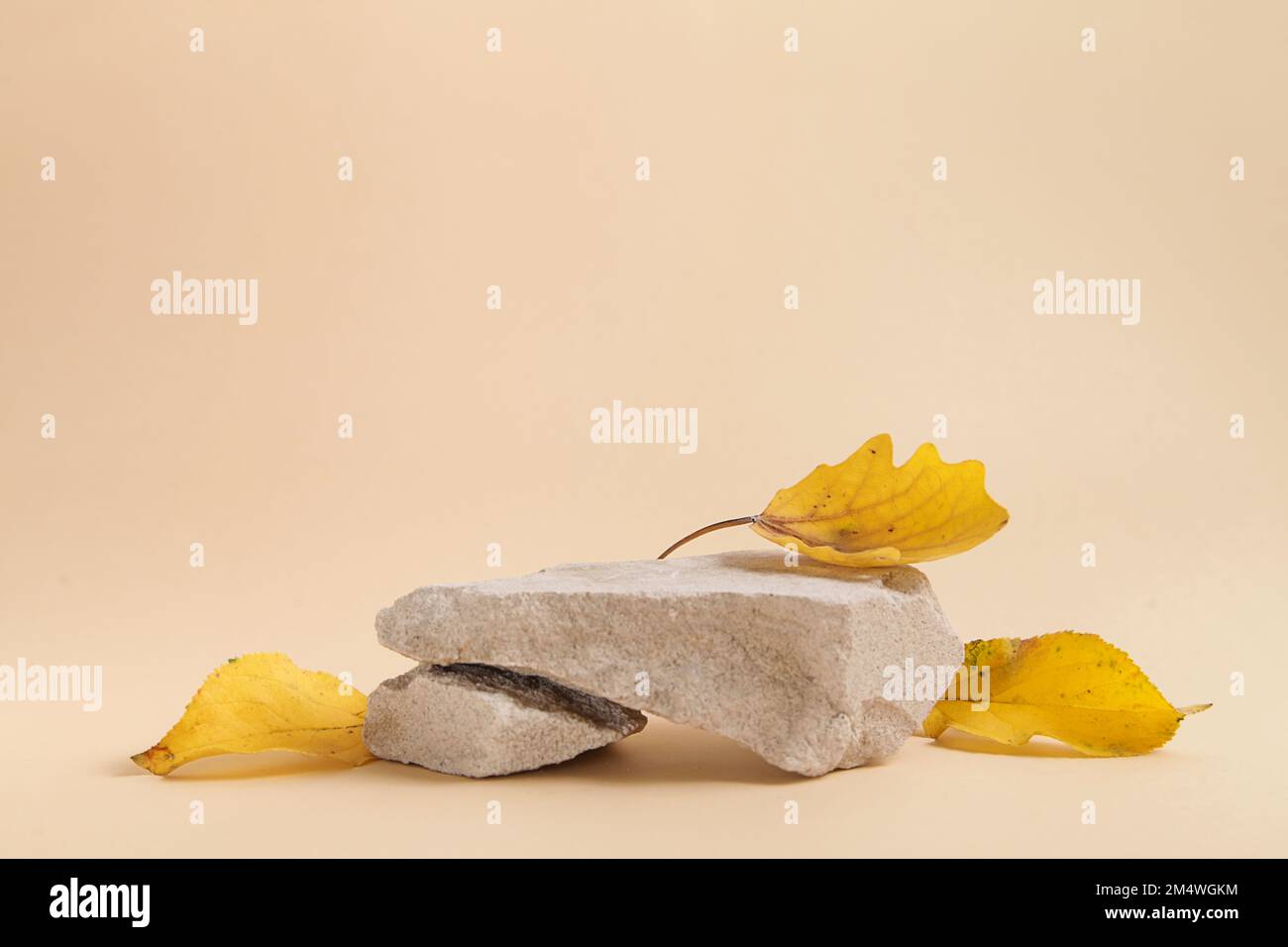 Im Herbst werden Naturstein und Herbstlaub präsentiert. Leere Podiumpräsentationskosmetik. Minimalistisches Branding. Stockfoto