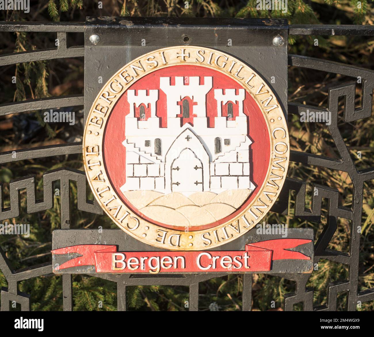 Bergen Crest neben dem Weihnachtsbaum, der der Stadt Newcastle von der norwegischen Stadt Bergen präsentiert wurde. Stockfoto