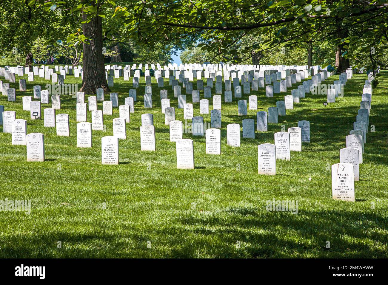 Grabsteine des US-Militärs bedecken die weitläufigen Rasenflächen auf dem Arlington National Cemetery in Arlington, Virginia. Stockfoto