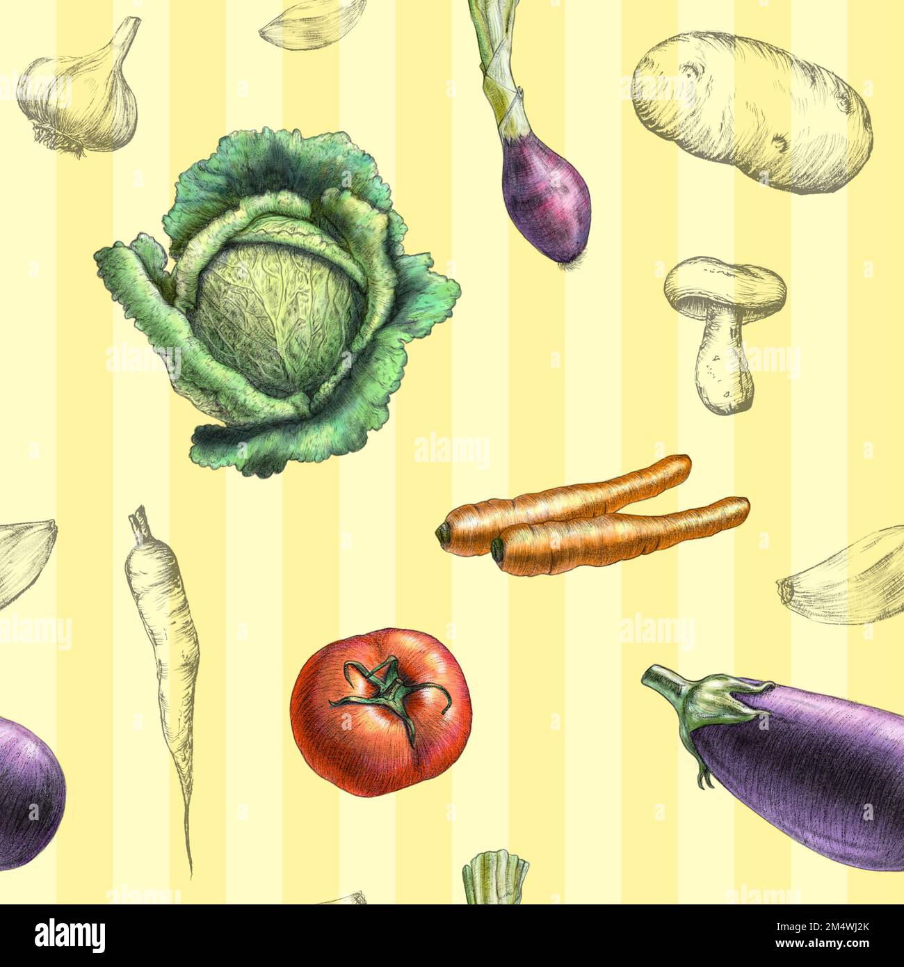 Gemüsemuster mit Auberginen, Zwiebeln, Tomaten, Kohl, Kartoffeln, Pilze, Karotten und Knoblauch. Digitale Illustration mit handgezeichneten Elementen. Stockfoto