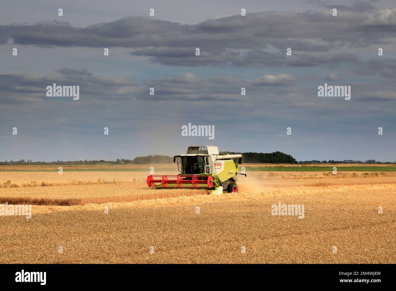 Ein Mähdrescher von Claas in der Nähe von Wisbech, Cambridgeshire, England, Großbritannien Stockfoto