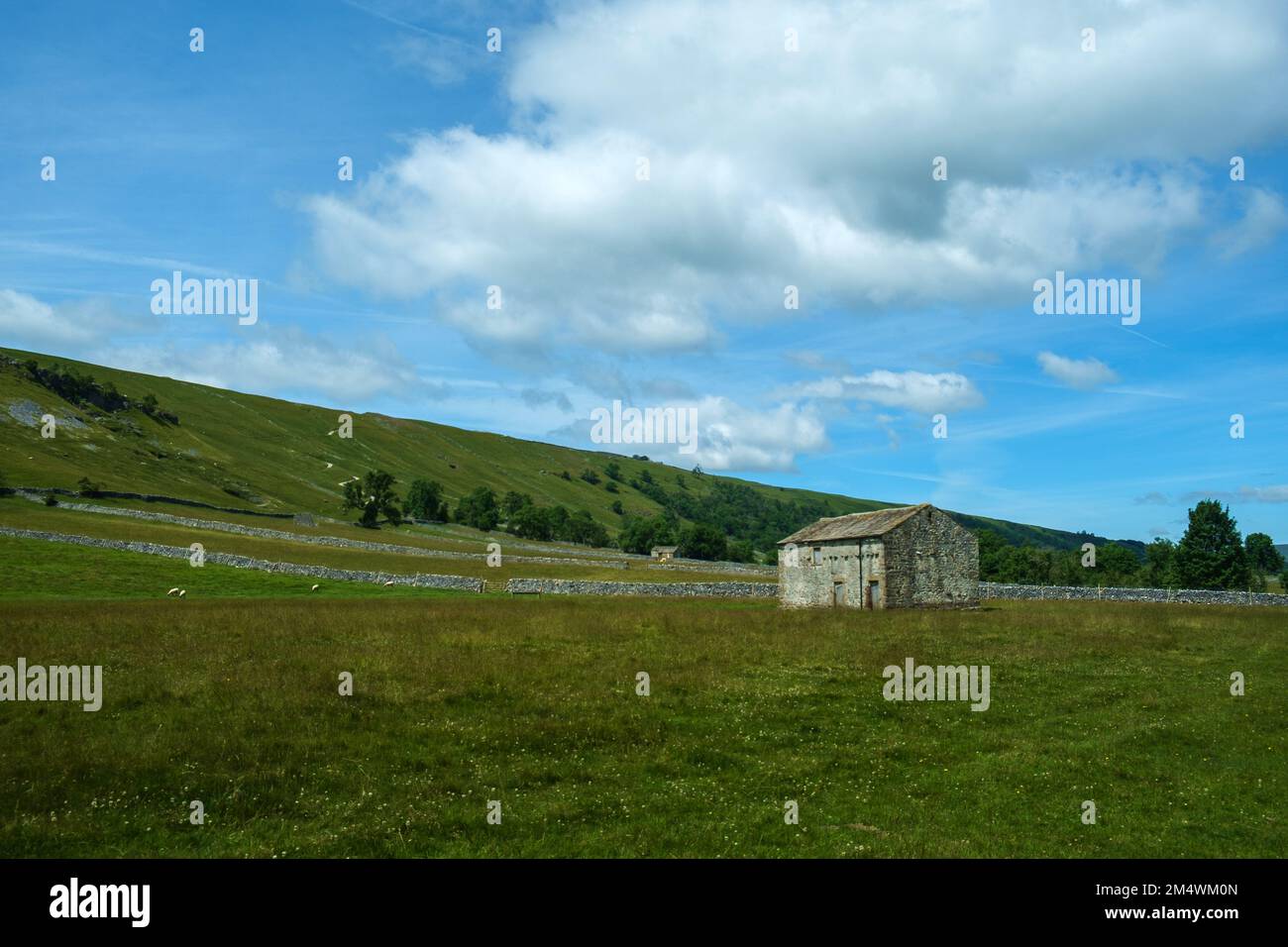 Typische Trockenmauern und Scheunen in der Landschaft um Kettlewell, Upper Wharfedale, North Yorkshire, Großbritannien Stockfoto