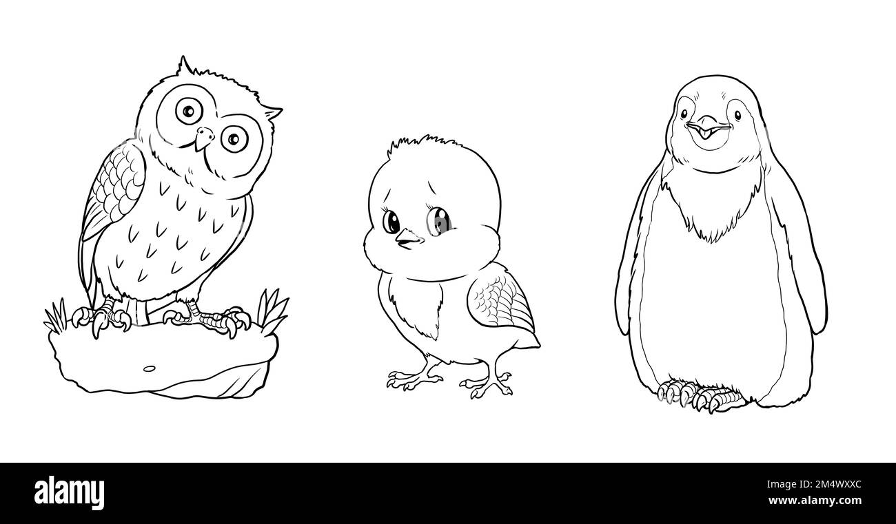 Süße Eule, Küken und Pinguin zum Ausmalen. Vorlage für ein Malbuch mit lustigen Tieren. Malvorlage für Kinder. Stockfoto