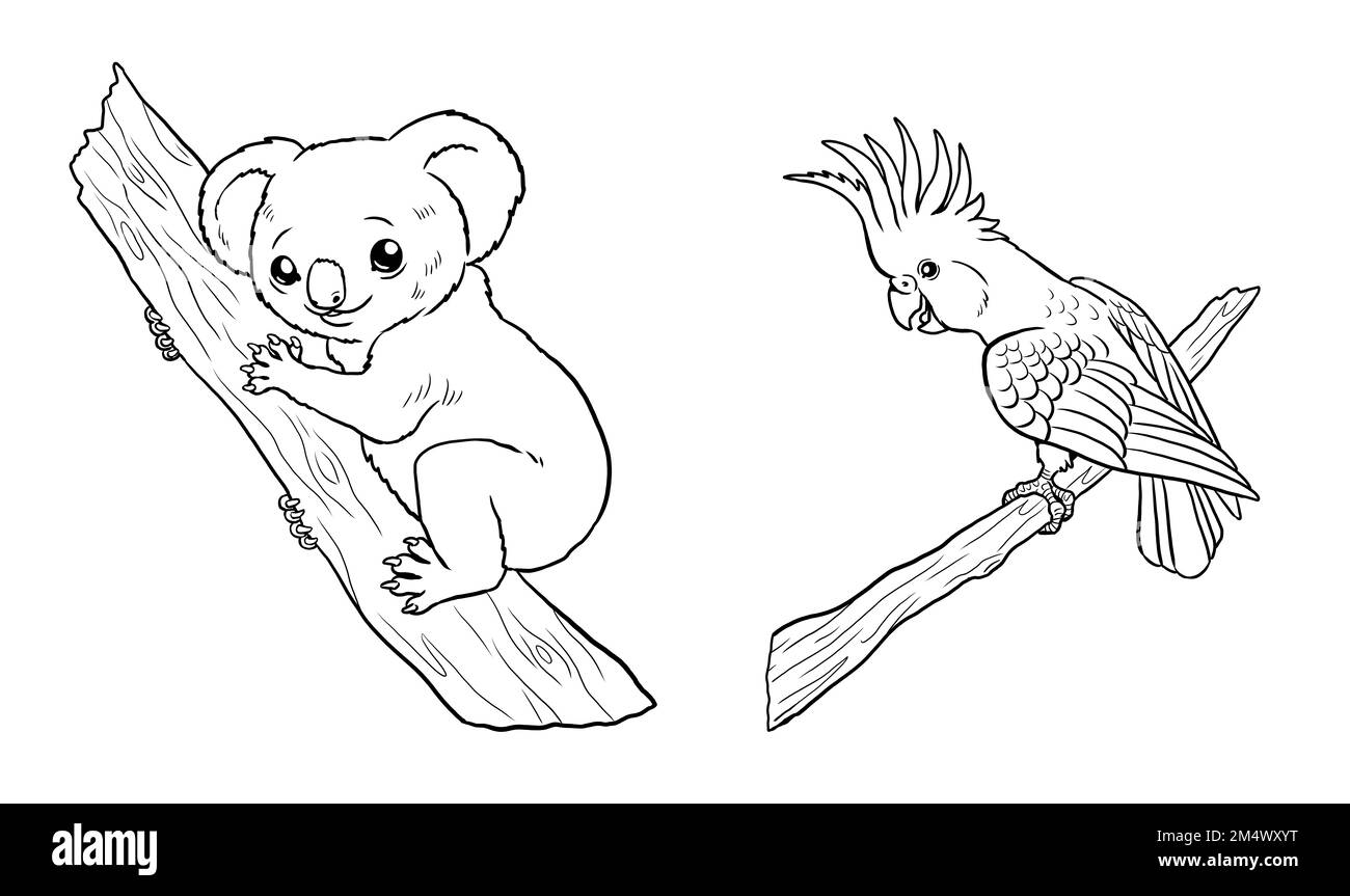Süßer Koala und Kakadu zum Ausmalen. Vorlage für ein Malbuch mit ...