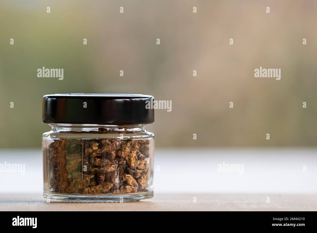 Ein Glas mit verzehrfertigen, gesalzenen Grillen mit Kopierraum Stockfoto