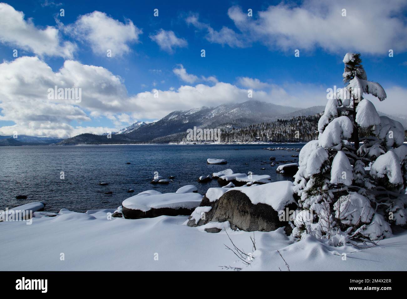 Frischer Schnee nach einem aufhellenden Sturm, ein wunderschöner Wintermorgen. Lake Tahoe, Kalifornien Stockfoto