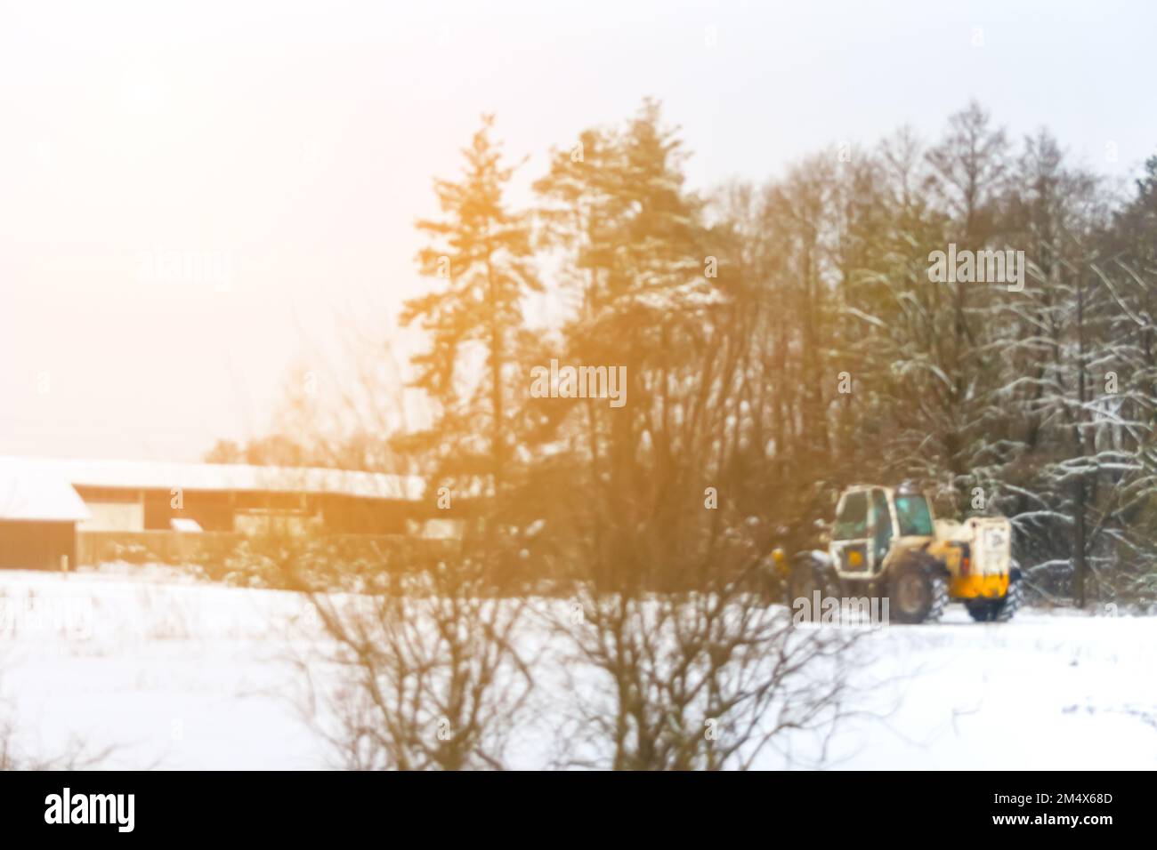 Unschärfe-Traktor sauberer Schnee, sonniges Licht. Traktor reinigt Schnee auf dem Feld. Der große gelbe Traktor räumt Schnee von der Straße auf und lädt ihn in den Lkw. O Stockfoto