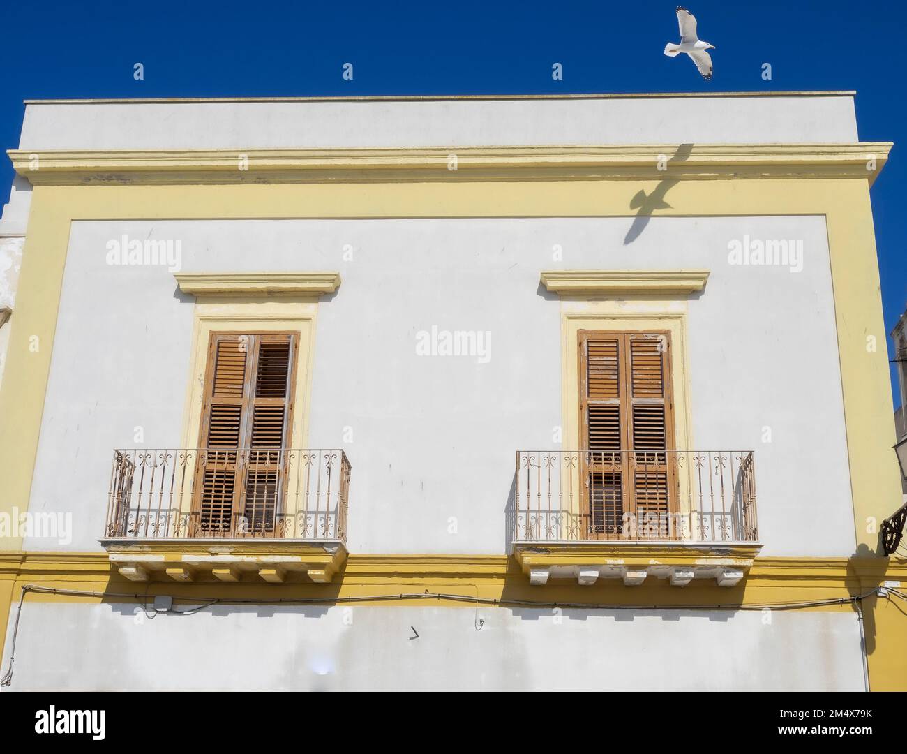 Möwe mit Schatten, die am Gebäude vorbeifliegt, Gallipoli, Apulien, Italien Stockfoto