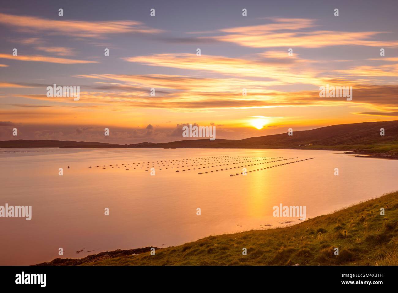 Großbritannien, Schottland, Reihen von Fischfallen in Mangaster Voe bei Sonnenuntergang Stockfoto