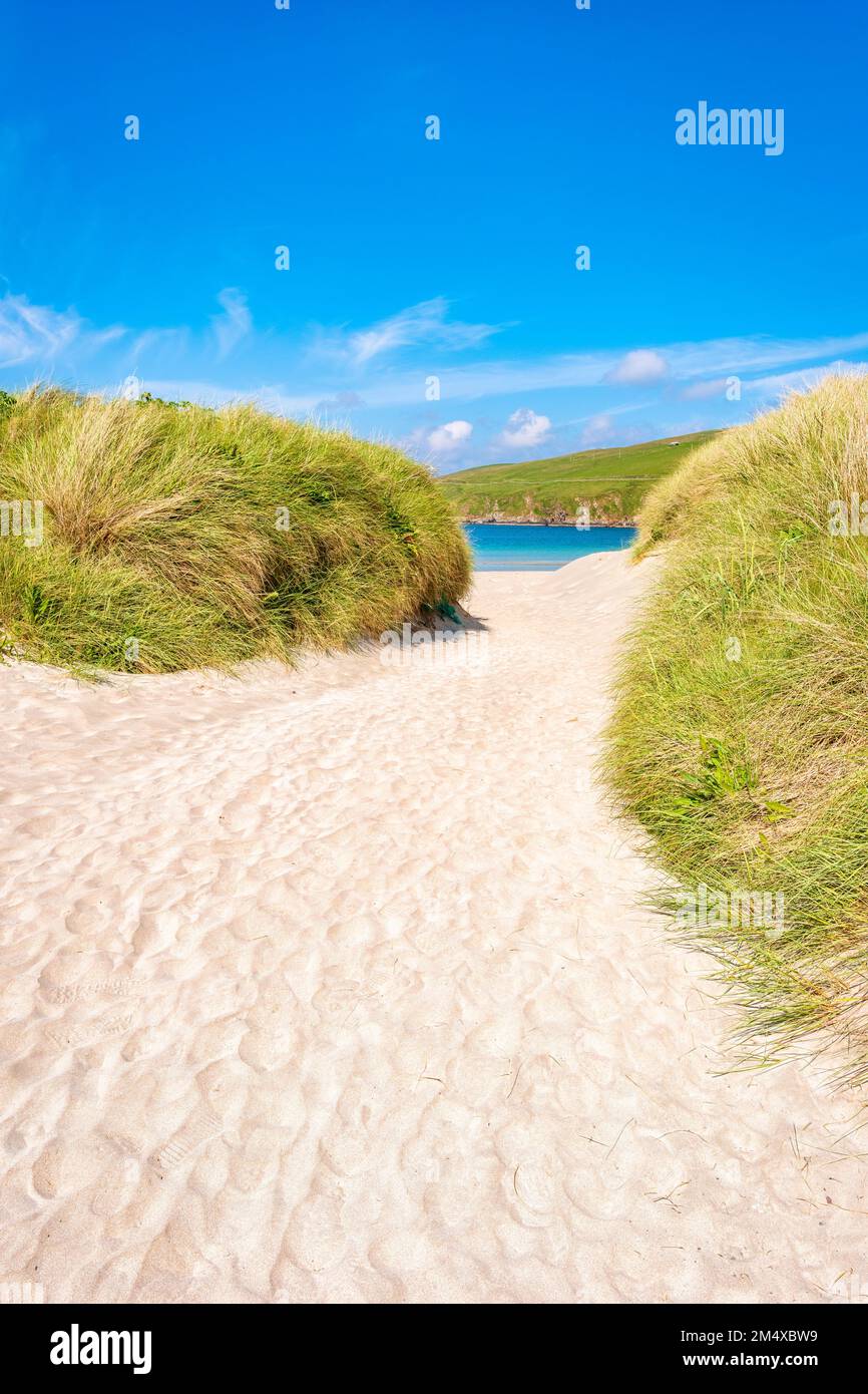 Großbritannien, Schottland, grasbedeckte Dünen von Scousburgh Sands Stockfoto