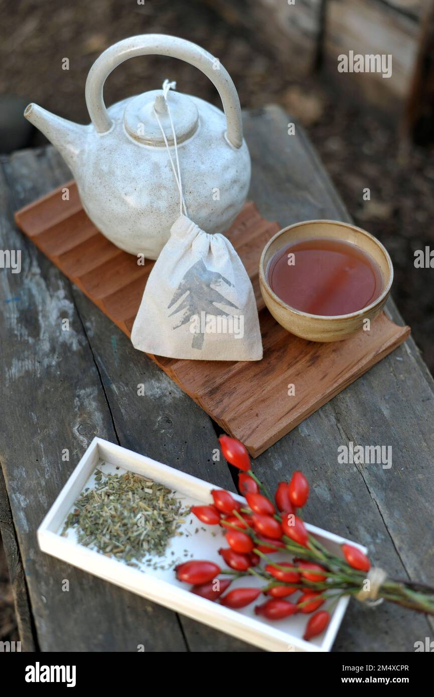 Keramikteekanne, Teetasse, Hagebutten und handgemachter Teesack Stockfoto