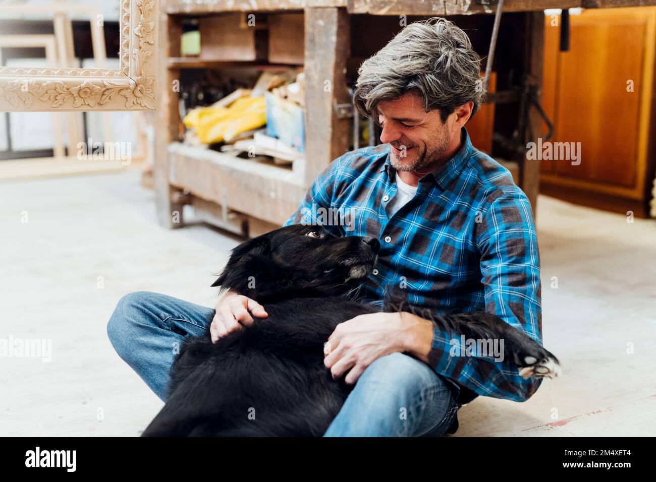 Hund liegt auf dem Schoß eines Mannes in der Werkstatt Stockfoto