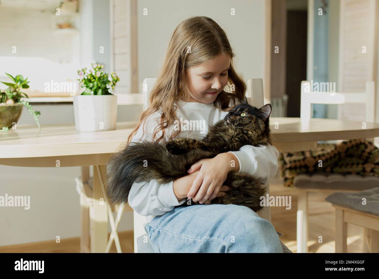 Ein Mädchen hält eine Katze zu Hause Stockfoto
