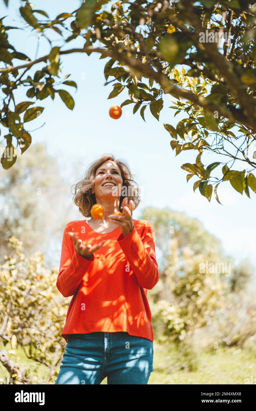Lächelnde Frau, die Orangen jongliert, steht am Baum Stockfoto