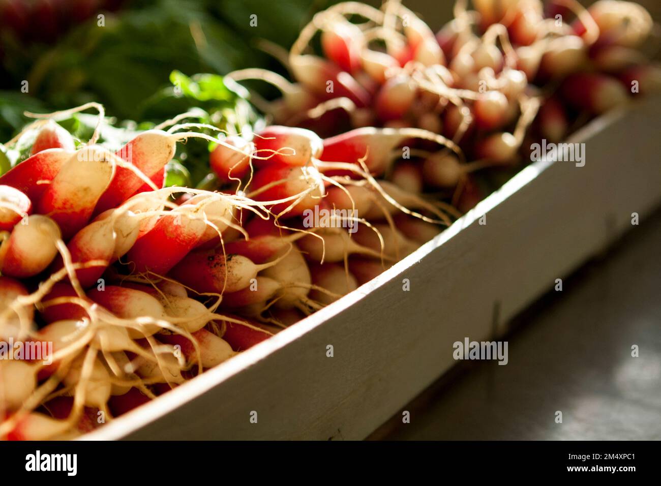 Frische Radieschen werden in einer Holzkiste eines Bio-Restaurants/der Eyepix Group (Bild: © Martin Bertrand/Eyepix via ZUMA Press Wire) gesehen. Kredit: ZUMA Press, Inc./Alamy Live News Stockfoto