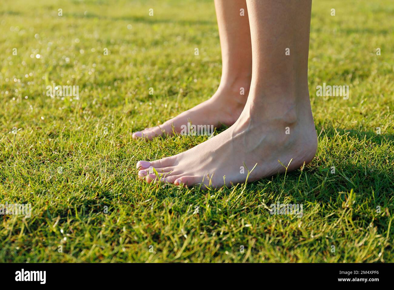 Junge Frau auf frischem Gras Stockfoto
